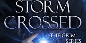 Storm Crossed, by Dani Harper