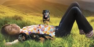 The Dogs Who Came Back From Heaven : A Story About Reincarnation In Animals, by Helene Minto